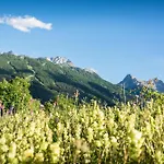 The Sunflower - Happy * Bardonecchia