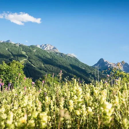 The Sunflower - Apt With Balcony And Private Parking - Happy Rentals * Bardonecchia